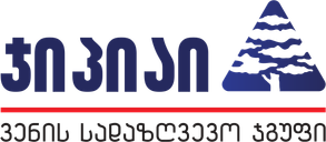 ჯიპიაი ჰოლდინგი
